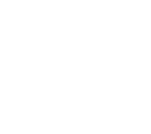Nissan Intelligent Choice Logo